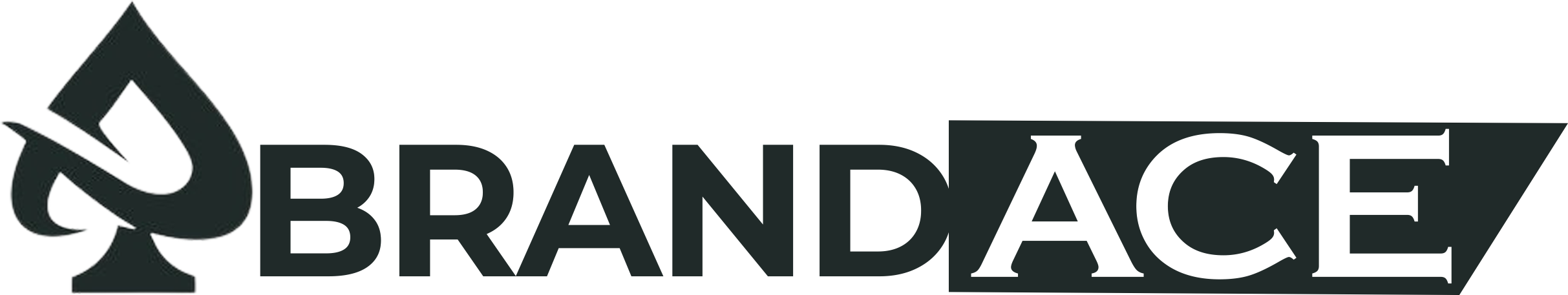 brandace technologies logo