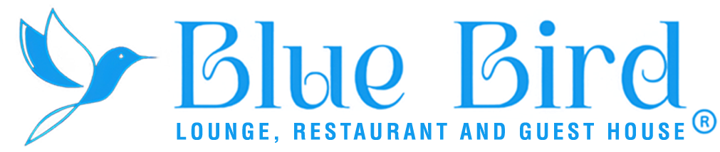 Blue Bird logo PNG